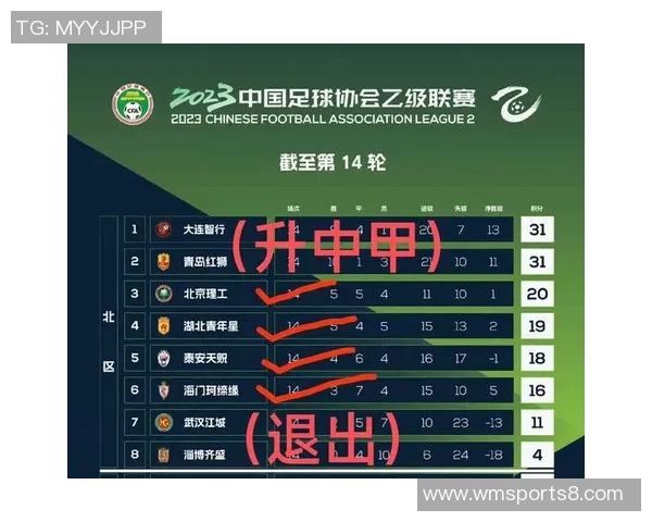 北理工足球队在中乙联赛中的奋战历程与未来展望