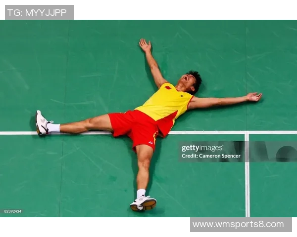 2017年羽毛球巅峰对决林丹李宗伟精彩回顾与赛后分析 2017年羽毛球巅峰对决林丹李宗伟精彩回顾与赛后分析